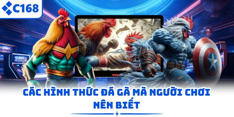 Các hình thức đá gà mà người chơi nên biết