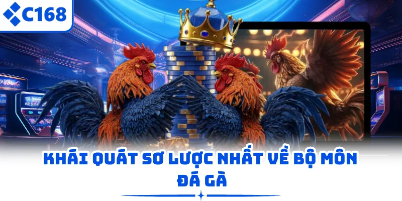 Khái quát sơ lược nhất về bộ môn đá gà